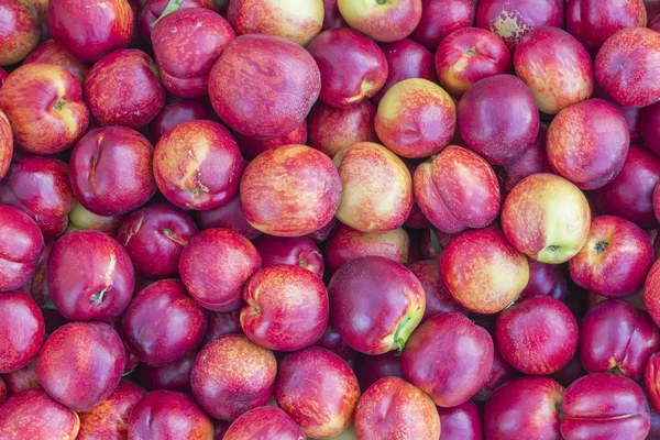 Nectarine background — Stock Photo, Image