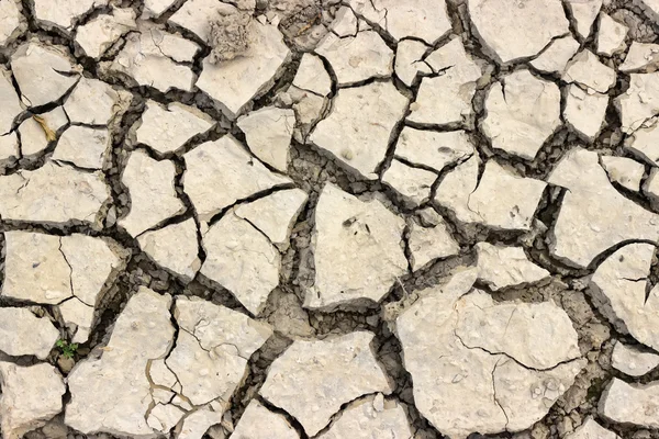 Background of dried and cracked earth — Stock Photo, Image