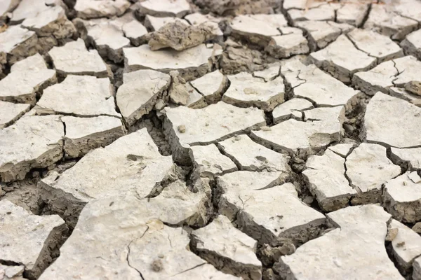 Background of dried and cracked earth 2 — Stock Photo, Image