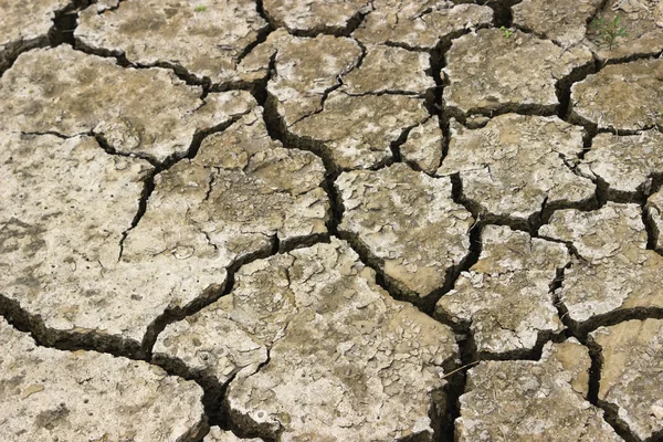 Close of dry riverbed, cracked ground 2 — Stock Photo, Image