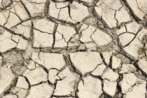 Cracked ground background — Stock Photo, Image