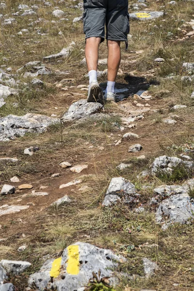 Uzun yürüyüşe çıkan kimse spor ayakkabılarla dağ yolu kayalar — Stok fotoğraf