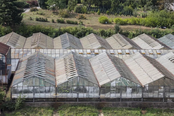 Rows of glass greenhouses — Stock Photo, Image