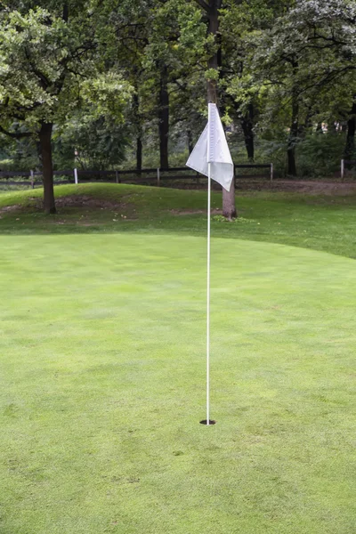 White golf flag on a field Stock Picture
