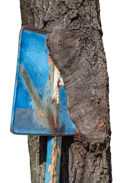 Señal de aparcamiento en el tronco de un árbol 3 — Foto de Stock