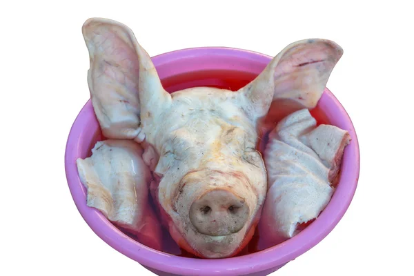 Roh abgehackter Schweinekopf — Stockfoto