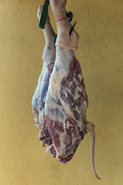 Raw pork legs hanging — Stock Photo, Image