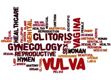 Vulva, word cloud concept 3 clipart