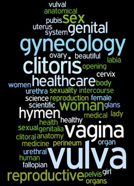 Vulva, word cloud concept 4 clipart