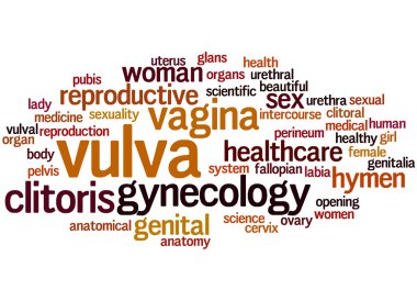 Vulva, word cloud concept 7 clipart