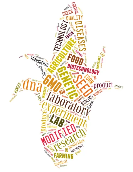 GMO-majs, word cloud begrepp 7 — Stockfoto