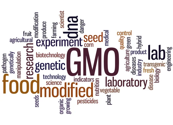 GMO, word cloud concept 3 — Stock Photo, Image