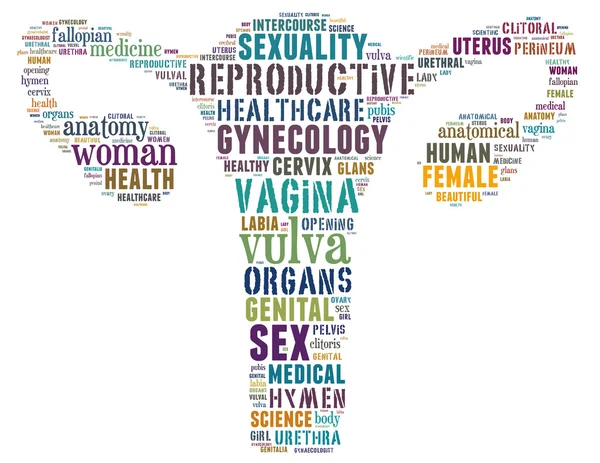 Vagina, word cloud concept 2 — Stockfoto