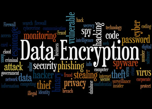 Data Encryption, word cloud concept 6