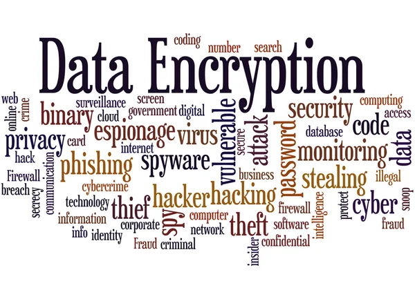 Data Encryption, word cloud concept