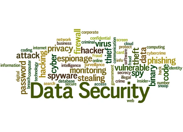 Sicurezza dei dati, concetto word cloud 5 — Foto Stock