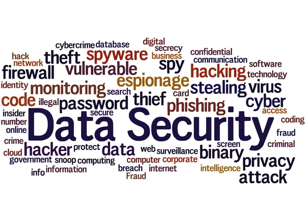 Sicurezza dei dati, concetto word cloud 6 — Foto Stock