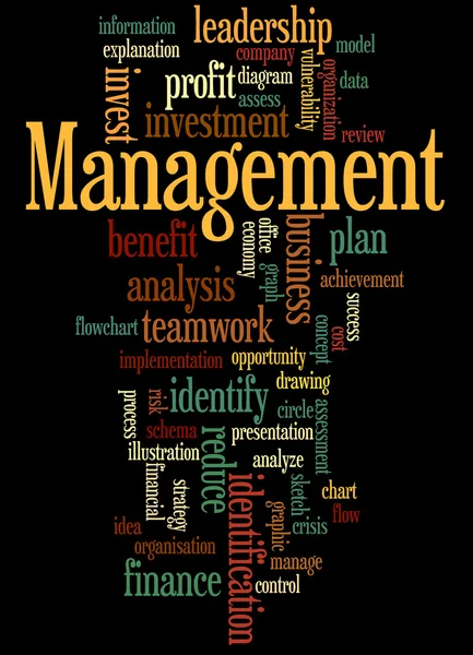 Management, word cloud concept 5 — Stock Photo, Image