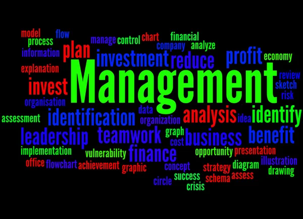 Management, word cloud concept 7 — Stock Photo, Image