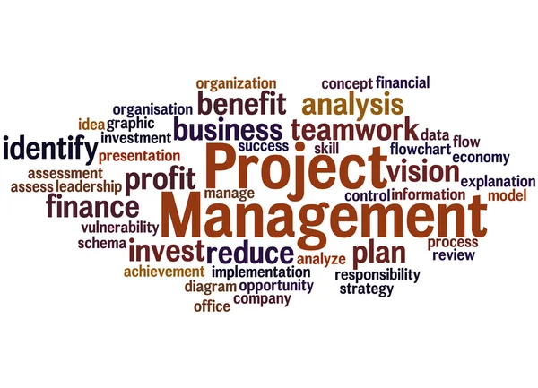 Project Management, word cloud concept 4 — Stock Photo, Image