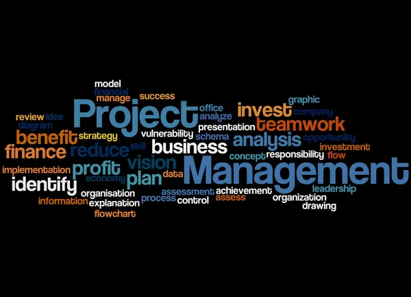 Project Management, word cloud concept 5 — Stock Photo, Image