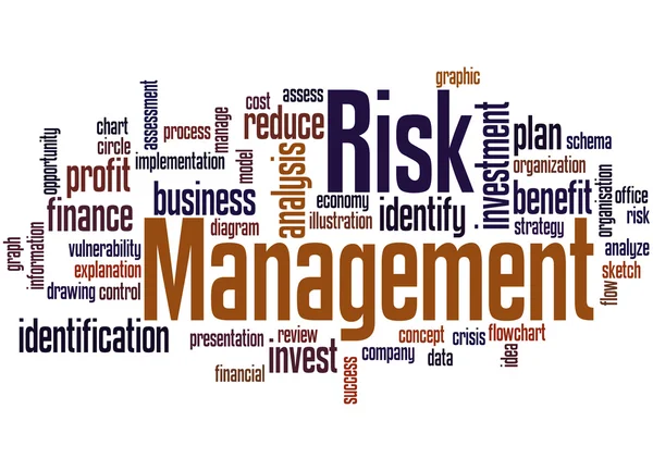 Risk Management, word cloud concept 6 — Stock Photo, Image