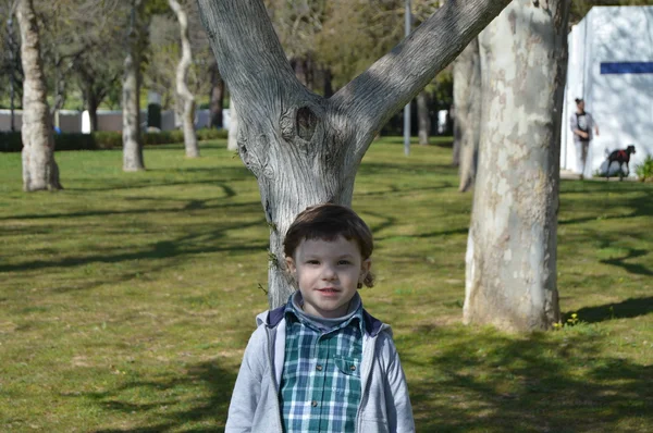 Mały chłopiec w parku — Zdjęcie stockowe