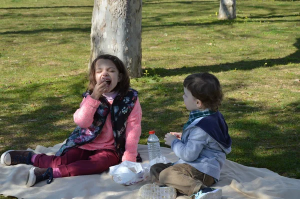 Picnic divertido primavera 2 — Foto de Stock