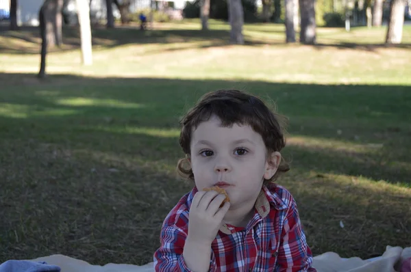 Menino no parque 17 — Fotografia de Stock