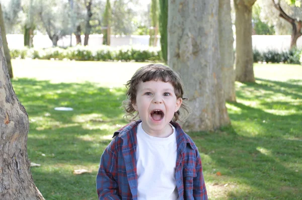 Rolig liten pojke i parken 1 — Stockfoto