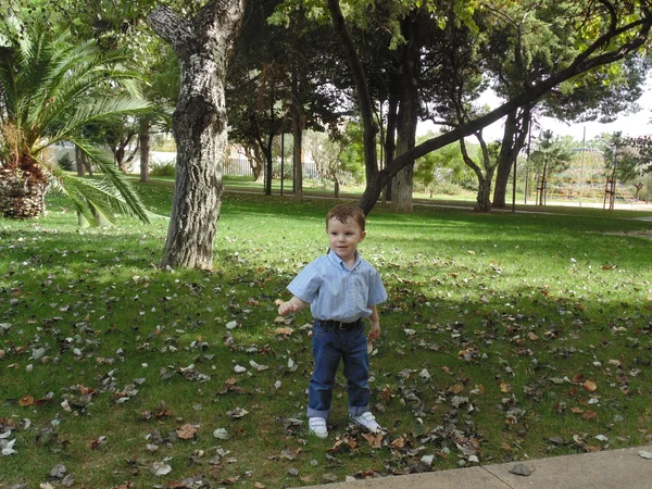 Babyjongen in bos 8 — Stockfoto