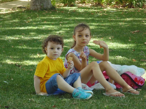 Siostra i brat na piknik — Zdjęcie stockowe