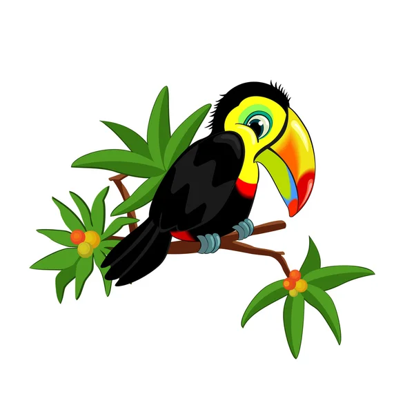 Tukan auf Zweig — Stockvektor