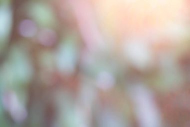Taze yeşil, parlak doğa Bokeh bahçedeki yeşil soyut arkaplanı bulanıklaştırdı. Tasarım duvar kâğıdı için boş fotokopi alanı olan doğal odaklı bulanık yeşil ortam. Doğa konsepti.