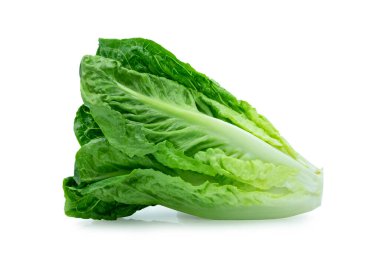 Fresh green Lettuce leaves, Salad leaf isolated on white background. with clipping path. clipart