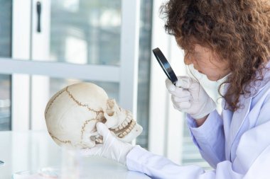 Genç, güzel bilim adamı doktor ya da araştırmacı laboratuvarda kafatasını inceleyip inceliyor..