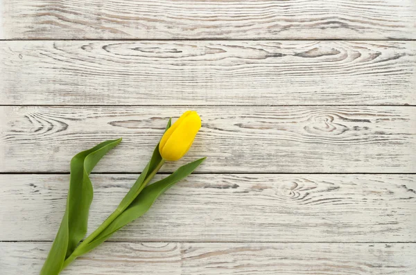Ahşap arka planda sarı lale