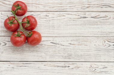 Domates. Domates Şubesi