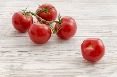 Domates. Domates Şubesi