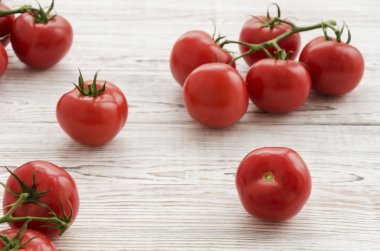 Domates. Domates Şubesi