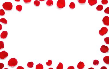 Üzerinde yazı olan kırmızı gül yapraklarından yapılmış bir çerçeve. Sevgililer Günü veya romantik konsept