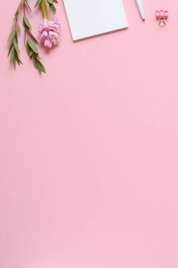 Not defteri, kalem, ataç, okaliptüs ve pembe arka planda sümbül olan çalışma alanı. Uzay bileşimini kopyala. Üst görünüm