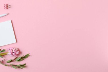 Not defteri, kalem, ataç, okaliptüs ve pembe arkaplanda sümbülü olan çalışma alanı