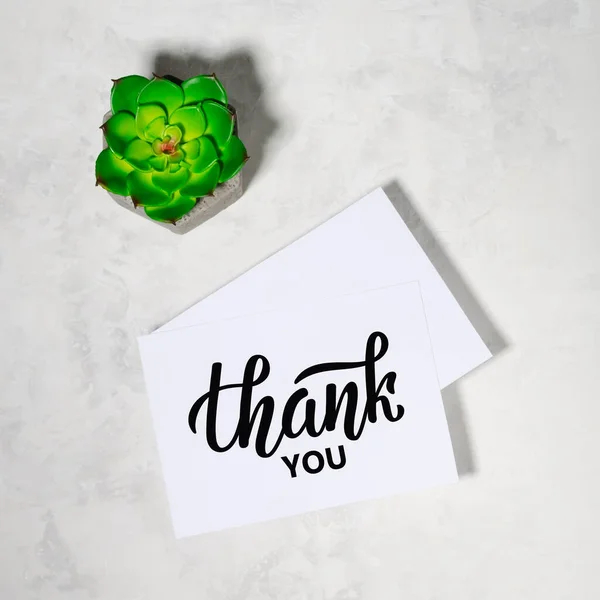 Bir yazı için iki sayfa kağıt ve beton bir arka planda sulu bir bitki..