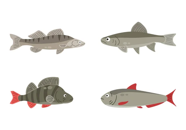 Flussfische Vorhanden Fische Isoliert Auf Weißem Hintergrund Vektorillustration — Stockvektor