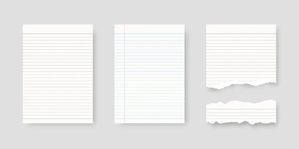 Caderno Conjunto Papel Folha Modelo Papel Forrado Mockup Isolado Projeto —  Vetores de Stock