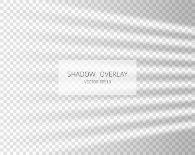 Shadow overlay effect. Natural shadows from window isolated on transparent background. Vector illustration.  clipart
