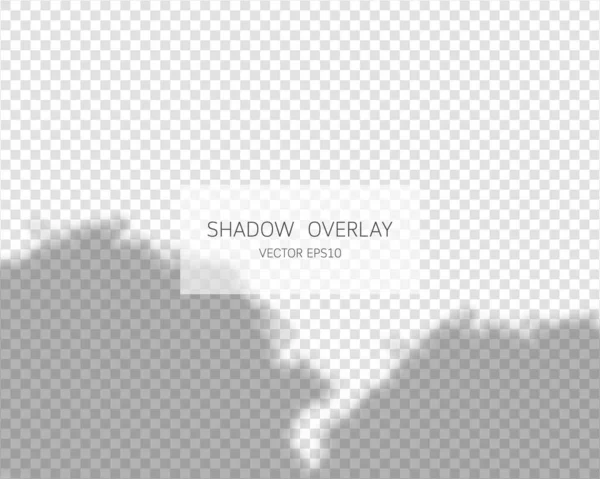 Schatten Overlay Effekt Natürliche Schatten Isoliert Auf Transparentem Hintergrund Vektorillustration — Stockvektor