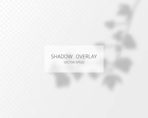 Shadow Overlay Effect Natural Shadows Isolated Transparent Background Vector Illustration — Stock Vector