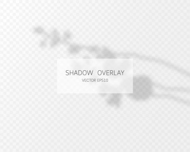 Shadow overlay effect. Natural shadows isolated on transparent background. Vector illustration.  clipart